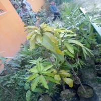AprilCoolDay